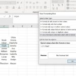 Excel format cell based on Text