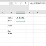 Counting Empty Cells in Excel