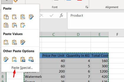 Copy and Paste a Table in Excel Without Changing the Format